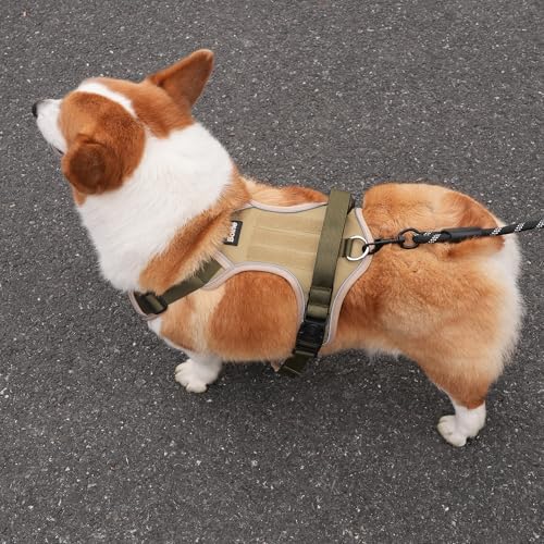 Small Dog Harness, Heavy Duty Tactical No-Pull Reflective Harness & Collar Set — Secure, No Choke, Easy On and Off Pet Vest, Adjustable Dog Vest with Breathable Padded for Walking Hiking Training - size: Small