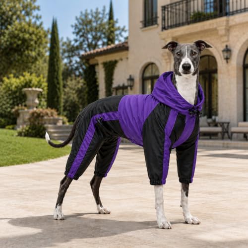Lovelonglong Dog Hooded Raincoat, Large Dog Rain Jacket Poncho Waterproof Clothes with Hood Breathable 4 Feet Four Legs Rain Coats for Small Medium Large Pet Dogs Purple L-XS - color: Purple, size: L-XS (Medium Dog ~20lbs)