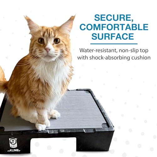 Blue-9 KLIMB Jr. Professionally Designed Dog Training Platform and DIY Guide for Behavior Basics, Made in The USA, Black - color: Black