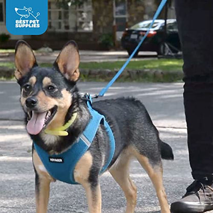 Voyager Step-in Air All Weather Mesh Harness and Reflective Dog 5 ft Leash Combo with Neoprene Handle, for Small, Medium and Large Breed Puppies by Best Pet Supplies - Blue, X-Small - color: Leash Harness Set (Baby Blue Base), size: XS (Chest: 13 - 14.5")