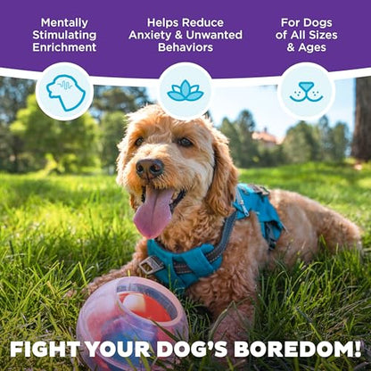 Outward Hound Nina Ottosson Topsy Treat Ball Dog Puzzle Interactive Treat Puzzle Dog Enrichment Dog Toy, Level 1 Beginner, Orange - color: Dog Rumble (Orange)