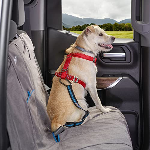 Kurgo Wander Dog Hammock Style Seat Cover, 27.5" Wide, Heather Charcoal Grey, Model:K01783 & Direct to seat Belt Tether for Dogs, Blue