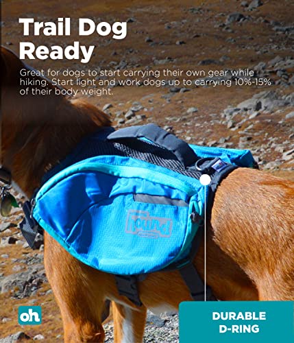 Outward Hound DayPak Blue Dog Saddleback Backpack, Large - size: Large (Chest Girth: 28"-32")