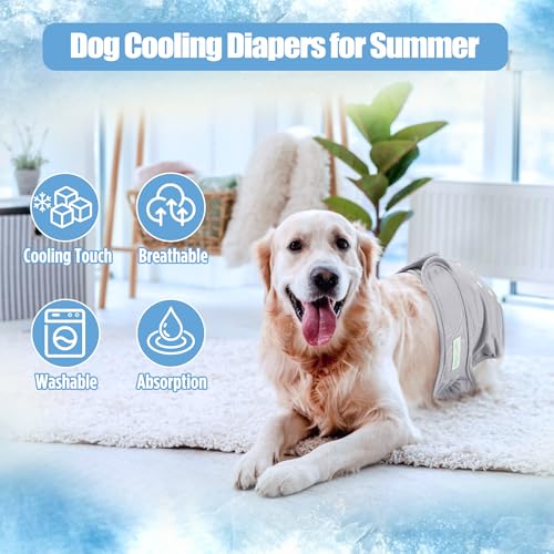 wegreeco Cooling Dog Diapers Female, Reusable Dog Cooling Diapers, High Absorbent Puppy Doggie Panties for Heat, Excitable Urination, or Incontinence, Self-Cooling, 5 Pack(Elegant, Small) - size: Small