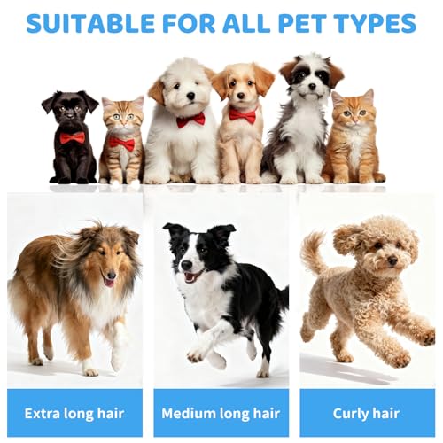 Dog Grooming Vacuum,Pet Grooming Vacuum with 2L Dust Cup & 13000Pa Suction, 6-in-1 Low Noise Pet Grooming Kit with Clipper & Steam Brush for Shedding, Professional Dog Vacuum for Dogs & Cats - color: Gray