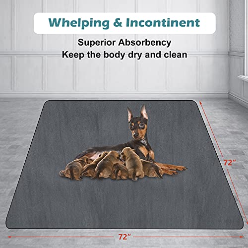 INVENHO Washable Pee Pads for Dogs 72"x72" Reusable Dog Pads Extra Large Upgrade Non-Slip Dog Pee Pads Heavy Absorbency Puppy Pee Pads Quick Dry Whelping Pads/Waterproof Puppy Training Pad - size: 72x72 Inch (Pack of 1)