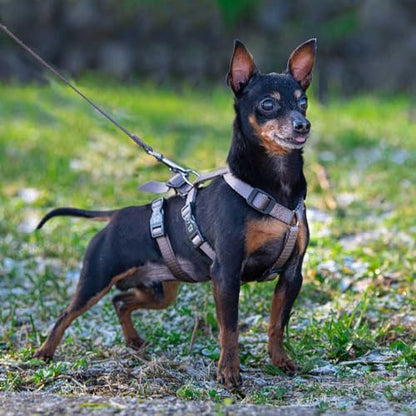 Ferplast Dog Harness Small Dog Brave Small, Escape Proof Dog Harness, Greyhound, Adjustable Harness for Dogs, 6 Closures, Marrone - color: Brown, size: zzzz-s