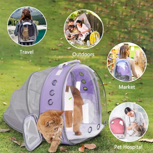 Expandable Cat Backpack Carrier, Breathable Clear Bubble Window Pet Carrier for Small Dogs and Cats up to 12 lbs, Airline Approved Travel Bag for Hiking and Outdoor Use (Back Expandable-Purple) - color: Purple