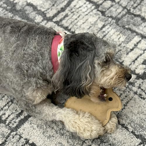 SPOT Dura-Fused Leather Rabbit Dog Toy – Durable Real Leather & Jute Chew Toy with Squeaker, Double-Stitched for Moderate Chewers, Small & Medium Dogs, 7.5in