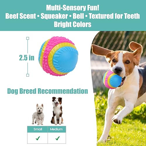 SPOT Sensory Ball for Soft Chewers - Stimulates All 5 Senses, Bell & Squeaker Sounds, Raised Nubs Clean Teeth, High Contrast Fetch Toy, Beef Scented, Durable TPR Rubber Ball, 2.5-inch - size: 2.5 inch (Pack of 1)