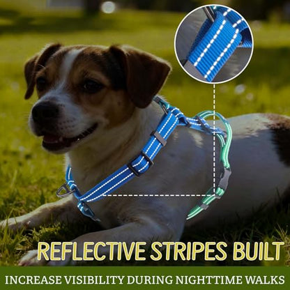 Roses&Poetry Dog Harness Small Sized Dog, 6 Point Adjustable Fit No Pull Harness with Handle for Control and Easy Walking, Reflective Pet Halter Harnesses（Bluegreen-S） - color: BlueGreen, size: S