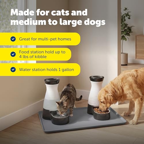 PetSafe Healthy Pet Food and Water Station with Waterproof Silicone Mat - Automatic Gravity Food and Water Dispenser for Cats and Dogs - BPA-Free Reservoir - Removable Stainless Steel Bowl - Medium - size: Medium