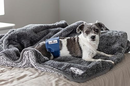 Pet Parents® Washable Belly Bands for Male Dogs (3pack) + Extendrs® of Durable Dog Diapers Male, Premium Male Dog Diapers & Dog Wraps (Small, Kingsmen) - color: Kingsmen, size: Small (13-16")