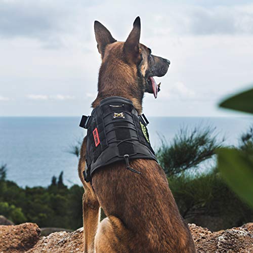 OneTigris Tactical Dog Harness Vest,No-Pull Service Dog Vest with Hook & Loop Panels,Adjustable Dog Vest Harness for Walking Hiking Training(Black,XXS) - color: Black, size: XX-Small