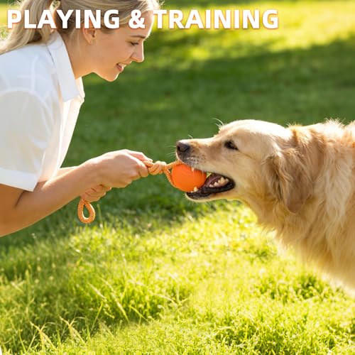 PUPTECK Dog Pool Floating Toys - 2 Pack Fetch Balls on a Rope Toys for Medium Large Dogs, EVA Durable Rubber Water Pet Interactive Toys, for Summer Beach Outdoor Throw Training Retrieving Play