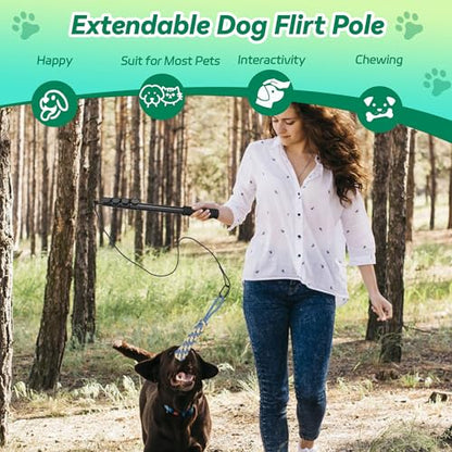 Flirt Pole for Dogs, Interactive Toys Tug-of-war for Dogs, Five-Section Retractable Adjustable Length,for Outdoor Exercise & Training for Small Medium Large Dog - size: 4 switch-59.1Inch