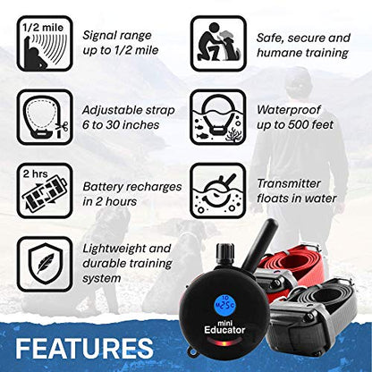 Educator ET-302 Black Mini E Collar for Dog Training with Remote - 1/2 Mile Range, Waterproof, 100 Blunt Stimulation Levels, Tone or Vibration Mode, Night Light for Small, Medium & Large Dogs (2 Dogs) - size: 2-Dog (ET-302 Black)