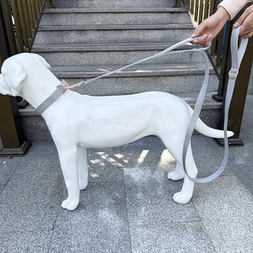 Dog Leash 6ft Long,Traffic Padded Two Handle,Heavy Duty,Double Handles Lead for Control Safety Training,Leashes for Large Dogs or Medium Dogs,Dual Handles Leads (Grey, 25MM*6FT) - color: Grey