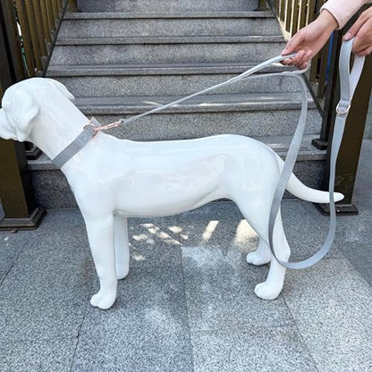 Dog Leash 6ft Long,Traffic Padded Two Handle,Heavy Duty,Double Handles Lead for Control Safety Training,Leashes for Large Dogs or Medium Dogs,Dual Handles Leads (Grey, 25MM*6FT) - color: Grey