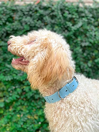 Tuff Pupper Classic Heavy Duty Dog Collar | 10x Stronger Than Leather | 100% Waterproof & Odor Proof Dog Collar | Tough Rust-Proof All Metal Hardware - color: Sky Blue