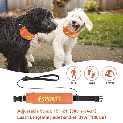 2 in 1 Dog Collar with Retractable Dogs Leash, Adjustable Dog Collar for Medium to Large Dogs