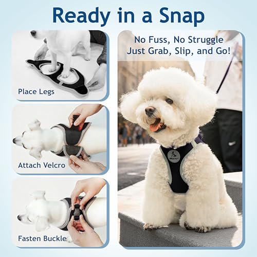 Dog Harness for Small Dogs (Chest 18.5"-19.5", Weight 15–20 lbs) | Athletica Adjustable Heavy Duty Dog Harness | No-Choke Puppy Vest with Lightweight Reflective Air Mesh | Black - Large - color: Black, size: Large