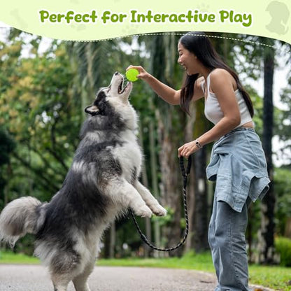 Indestructible Squeaky Dog Balls for Aggressive Chewers, Interactive Dog Toys to Keep Them Busy, Dog Chew Toys for Aggressive Chewers, Rubber Squeaky Balls for Dogs to Relieves Anxiety - color: Green