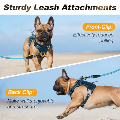 BARKBAY Service Dog Vest Tactical Dog Harness Medium Large Sized Dog No Pull Adjustable Dog Harness Reflective K9 Working Training Easy Control Military Molle System(Legion Blue,S) - color: Legion Blue, size: Small