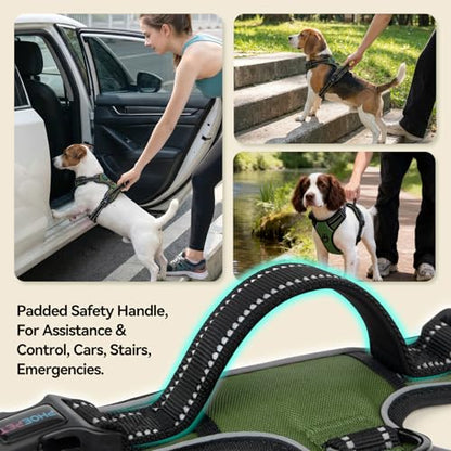PHOEPET No Pull Dog Harness with Handle Reflective Padded Vest for Small Medium Large Dogs, Adjustable Puppy Harnesses with Front & Back Clip Easy Walking (M, Misty Green) - color: Misty Green, size: Medium