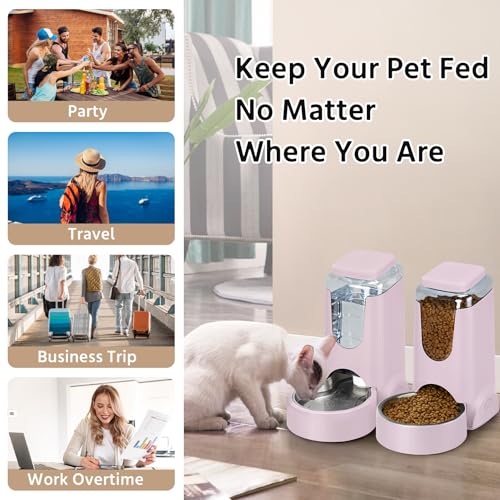 2 Pack Automatic Cat Feeder and Stainless Steel Water Dispenser, Gravity Dog Waterer Set Food Feeder and Waterer Set for Small Medium Kitten Puppy Pets(1 Gallon x 2, Violet) - color: 1 Gallon x 2 - Violet