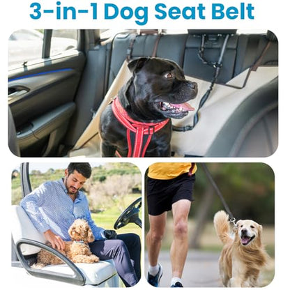 Doggie Seat Leash for Golf Cart, Pet Dog Seat Belt Harness for Car, Collar,Golf cart Dog Belt, Pet Safety Protection