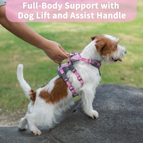 Huntboo Reflective Dog Harness with Handle, Escape Proof, No Slip, Breathable, Lightweight, Adjustable Lift Harness for Small, Medium, and Large Dogs Walking, Training, and Running Gear(Light Pink,S) - color: Light Pink, size: Small (Pack of 1)