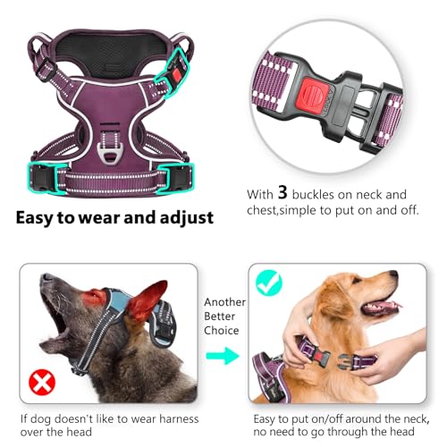 Timos Dog Harness Small Sized, No Pull Pet Harness with Neck Lockable Snap, No Choke Front Clip Reflective Vest, Adjustable Metal Rings 3 Buckles, Easy Control Handle for Small Dogs Grape Purple S - color: Lock Grape Purple, size: Small (Pack of 1)