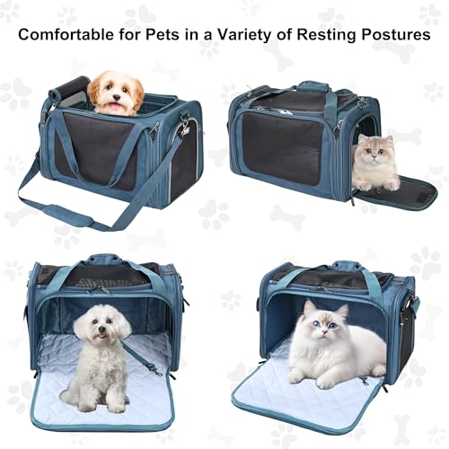 EliteField Deluxe Soft-Sided Pet Carrier (3 Year Warranty, Airline Approved), Travel Bag for Dogs, Cats & Small Pets, with Expandable Mat - color: Blue Gray, size: Large: 20"L x 12"W x 12"H