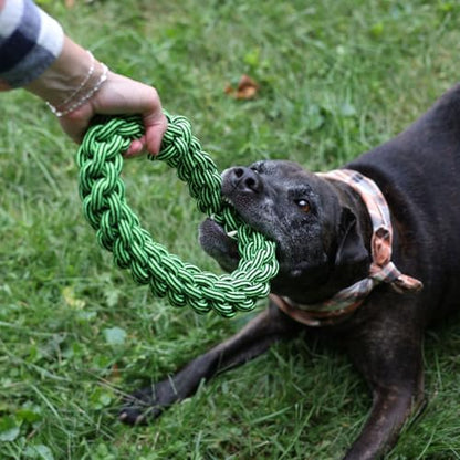 Jolly Pets TIK-Tak-Tugzz Small/Medium O Rope Dog Toy