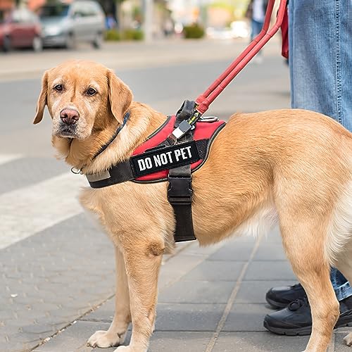 2 Pieces Ask to Pet Dog Patches with Hook Backing for Service Animal Vests, Harnesses - color: 2pcs, Ask to Pet