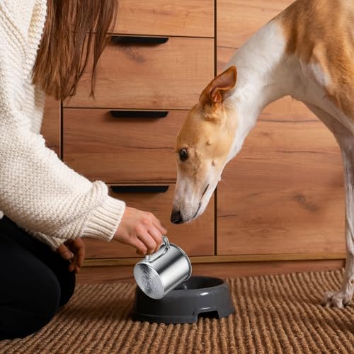 2 Pcs Dog Food Scoop 1 Cup,304 Stainless Steel Measuring Cups with Handle Pet Food Scoop Cup Measuring Scoop for Dogs, Cats, Birds & Rabbits – Ideal for Dry Food & Treats (1 CUP) - size: 1 CUP