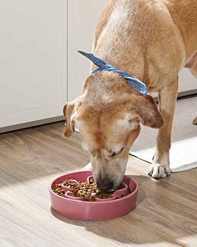 LE TAUCI Slow Feeder Dog Bowls Ceramic,3 Cups Slow Feeding Dog Bowl Medium Large Breed, Pet Bowl for Fast Eaters, Puzzle Pet Dishes, Pink Bloom - color: Pink Bloom, size: L-3 Cups