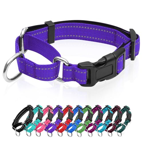 Reflective Martingale Dog Collars. Dog Collar with Quick Release Buckle. Adjustable Soft Padded Breathable Nylon Pet Collar Suitable for Puppies for Small Medium Large Dogs. - color: Purple, size: XS:3/4" Wide for 11.5"-13.5" Neck