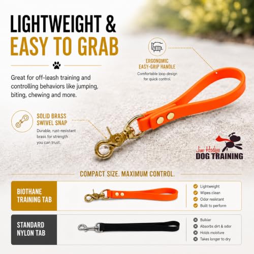 Biothane Training Tab Leash for Dogs, Brass Hardware, No Pull with Easy Grip Handle, Made in The USA, Professional Grade-Orange - color: Orange