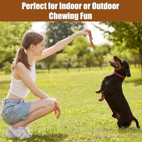 SPOT Bam-Bones Plus Branch -Bamboo Fiber & Nylon, Durable Long Lasting Dog Chew for Aggressive Chewers – Great Toy for Adult Dogs & Teething Puppies Under 60lbs, Non-Splintering, 5.75in, Beef Flavor - size: 5.75 inch (Pack of 1)