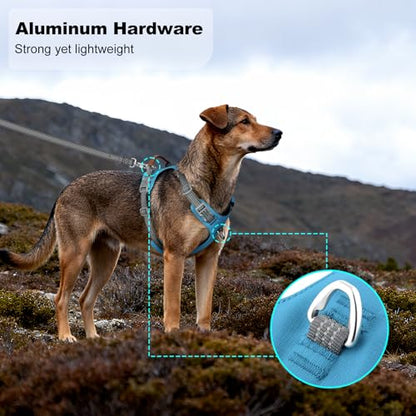 No Pull Dog Harness – Adjustable Reflective Nylon Vest for Small Medium Large Dogs, Escape Proof Training Harness with Leather Control Handle, Lightweight Aluminum Hardware (Cyan, M) - color: Cyan, size: M