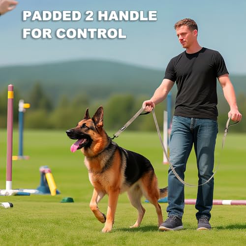 Heavy Duty Double Handle Dog Leash 6 ft Long for Total Control, Padded 2 Handle, Reflective Training Lead for Medium Large Dogs (Beige, 6 FT) - color: Beige