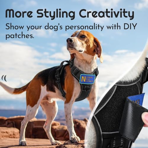 Eagloo Dog Harness for Large Dogs, Easy Wearing with 3 Quick-Release Buckles, Adjustable No Pull Pet Harness with MOLLE System, No Choke Reflective Vest with Control Handle, Black, L - color: Black, size: Large