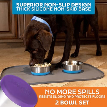 Master Pet Supply Stainless Steel Dog Bowls Set of 2 with Extra Thick Silicone Base - 2 Cup (16 oz) Plum Crazy, Non-Slip, Dishwasher Safe Metal Bowls, Pet Dog Food Bowl for Dogs, Cats, Anti Rust - color: Plum Crazy, size: 2 Cups (16 oz) 2 Pack