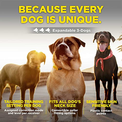 Dogtra CUE Yellow – E-Collar for Dogs Training Collar with Remote – Training Made Easy for Everyday Dog Owners – Gentle Vibration, Custom Boost, Waterproof, Rechargeable, 400-Yard Range System - color: Gen 1 Yellow