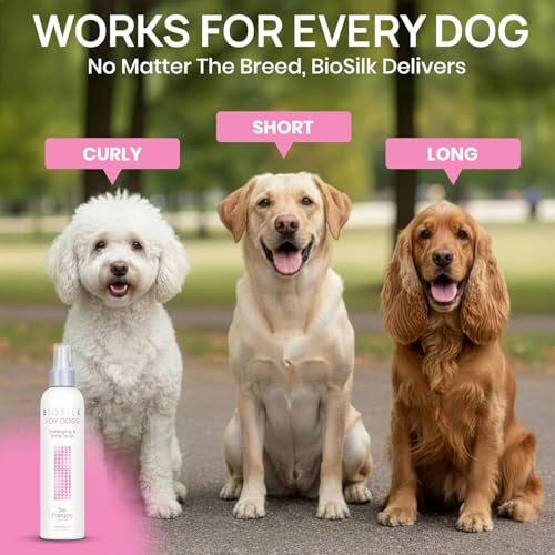 BioSilk for Dogs Silk Therapy Detangling and Shine Protecting Spray, pH Balanced Leave-in Mist with Silk and Vitamins for Dematting, Paraben-Free, All Coats and Breeds, 8 Fl Oz - 6 Pack - size: 8 Fl Oz (Pack of 6)