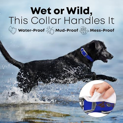 Regal Dog Products Large Blue Dog Collar with Heavy Duty Double Buckle & D Ring | Vinyl Coated, Custom Fit, Adjustable Biothane Dog Collar | Chew Resistant Waterproof Center-Ring Collar for Dogs - color: Blue, size: Large