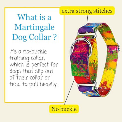 Country Brook Petz - HossFit Jr Wide Martingale Dog Collar - Groovy Collection Featuring Far Out Designs (Paint Splatter, Large) - color: Paint Splatter, size: Large (Pack of 1)