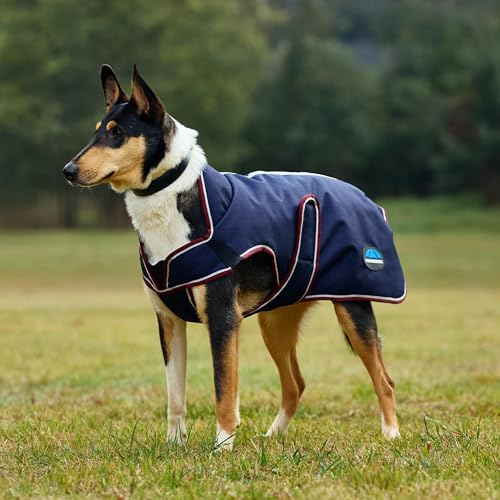 WeatherBeeta ComFiTec Premier Deluxe Waterproof Dog Coat, Navy/Burgundy, 28" - color: Navy/Burgundy, size: 28"